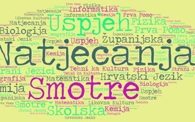 Uspjesi naših učenika na županijskim natjecanjima